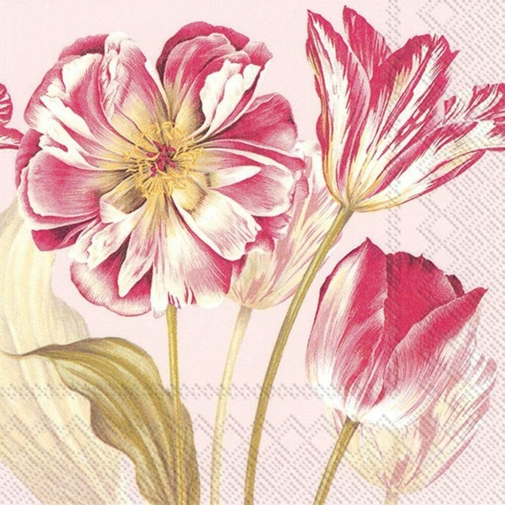 Cocktail Paper Napkins Boston International Majestic Tulips, 5 x 5-In